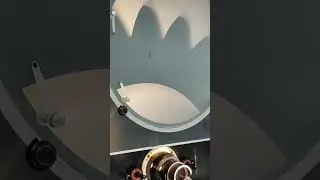 Leitora de perfil