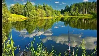 Ловим на бомбарду! Ловля щуки и окуня на поплавочную удочку.  Рыбалка в Оренбургской области.