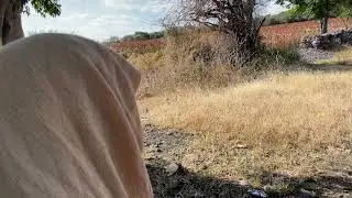 Mamá Tomasita necesita de nuestra ayuda 😰