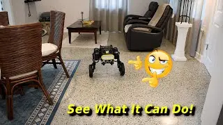 Is Diablo Direct Drive Robot Any Good? Find out!