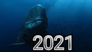 Evolution of livyatan