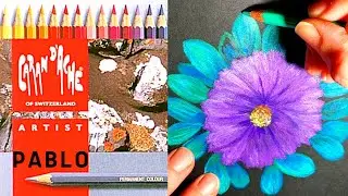 Caran d'Ache Pablo Pencils Review 120 Set | Floral Pencil Drawing For Beginners