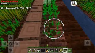 Minecraft SURVIVAL