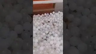 Кто нашёл ?