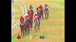 Green Channel with Arul J H up wins The Serjeant At Arms Plate 2021