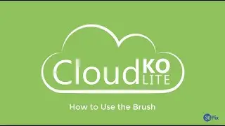 CloudKO Lite  - How to Use the Brush