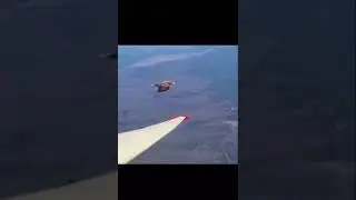 Golden Eagle attacking plane on mid air