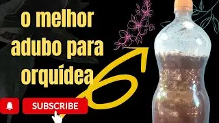 como fazer adubo para qualquer tipo de planta