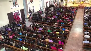 IMG 0881