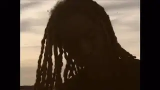 sankofa / warning