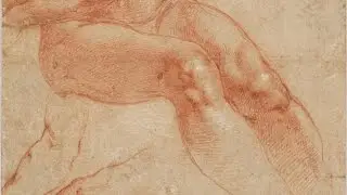 Knee Anatomy - Anatomy Master Class