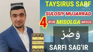 وَضِرَ  يَوْضَرُ FE'LINING SARFI SAG'IRI