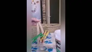 Продолжаю творить 🥰