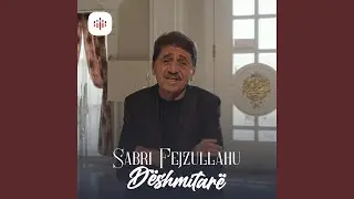 Dëshmitarë