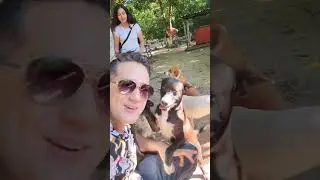 El perrito que nadie quiere adoptar