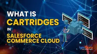 What is Cartridges | Salesforce Commerce Cloud Tutorial for Beginner | SFCC [Updated 2026] - igmguru