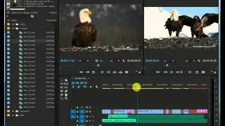 FIU relink Media in Premiere Pro cc 2015