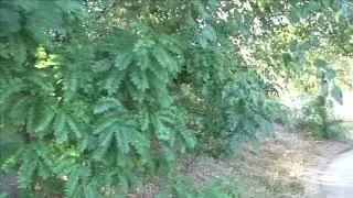 Керчь, улочки Митридата, 3 й Пугачёвский пер