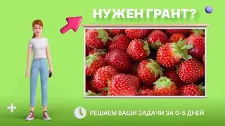 Видеоролик для получения гранта «Агротуризм»