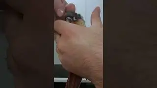Чеши меня, ещё чеши, много чеши, долго чеши.))))))))))