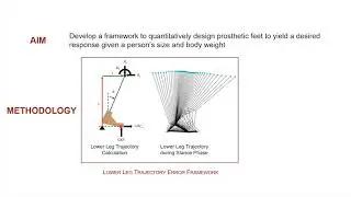 Victor Prost: Single Part Prosthetic Foot Design using the Lower Leg Trajectory Error Framework
