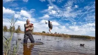 MICHIGAN DUCK HUNTING 2019 (Fish Point State Wildlife Area)