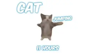 ^･ｪ･^ 11 HOURS!