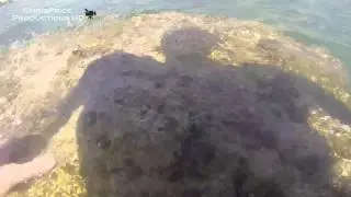 GoPro: Sunshine Boat Altinkum Turkey