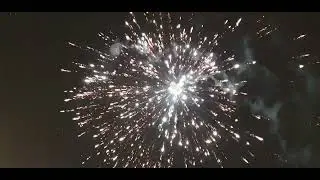 Pijlen fallas 2022