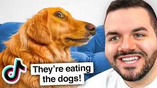 1 Hour Of The Funniest TikToks!