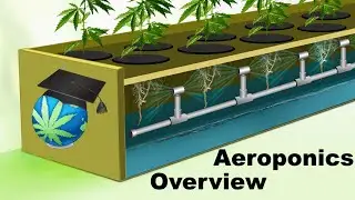 Aeroponics Overview - Setups, Advantages & Shortcomings For Cannabis Growers