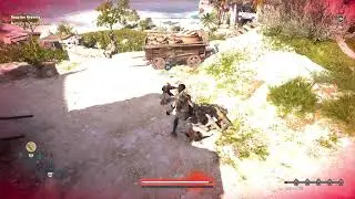 the chickens of Assassins Creed Odyssey