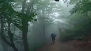 Stunningly beautiful natural downhill trail in Iran, مسیر دوچرخه سواری بینظیر جنگل الیمستان