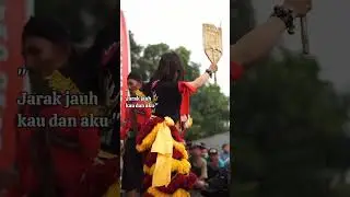Banteng betina sedang rindu #shorts