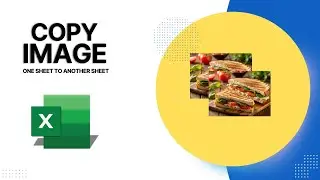 How to Copy Image From One Sheet to Another Sheet in Microsoft Excel