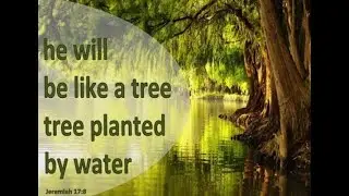 Live with Prophet Russ – A “Shall Be” Word Over Your Life – Today!