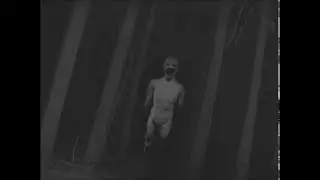 BOB