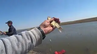 Весенний Жор Карася