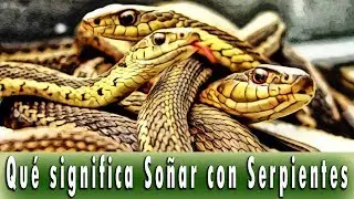 What does it mean to dream about snakes - Meaning of Dreams