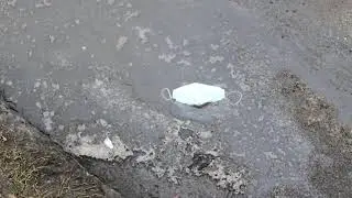 Eesti Vabariik 103