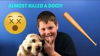 STORYTIME: The Time I Almost Killed A Dog With A Baseball Bat!!