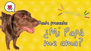 Dante presenta: 