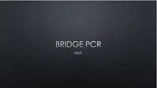 Bridge PCR (Cluster Amplification)
