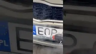 Usuwanie owadów myjnią parową