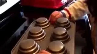 Cake Boss Cakes mixes and frostings