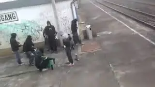 Org Crew Wholetrain