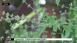 Kosalafé ! Kosa i sony kwé ? Raymond Lucas ! Nout naturaliste i di anou toute su ti bom !