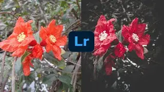 Lightroom Photo editing tutorial.কিভাবে লাইটরুম দিয়ে ফটো এডিটিং করে.? #photoediting #Lightroom