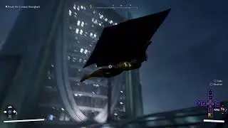 Gotham Knights: Barbara the Batlady