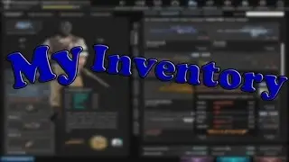 [CSNZ] My Inventory ( 20.12.2016 )